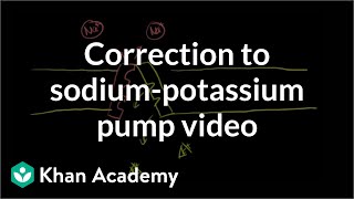 Correction to Sodium and Potassium Pump Video