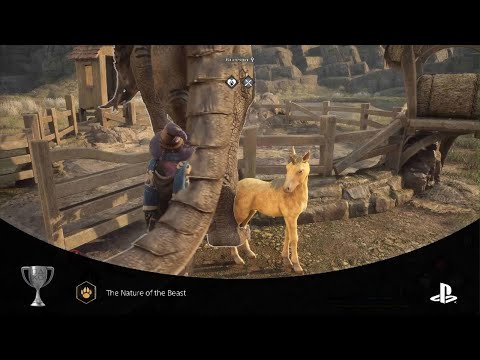 The Nature Of The Beast Trophy- Hogwarts Legacy (PS5)