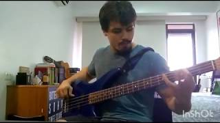 Good Tiger Salt of Earth Bass Cover
