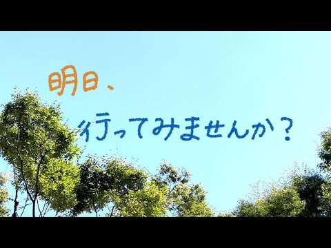 明日行こう！新宿区の憩いの場【新宿区若者のつどい動画プロジェクト】
