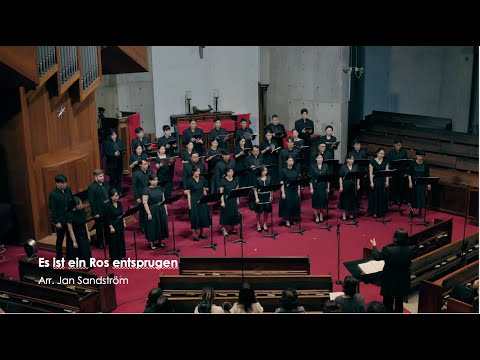 Pco+Sonority: Es ist ein Ros entsprugen - Arr. Jan Sandström
