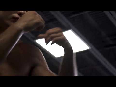 Bellator 226 Adam Borics Vs Pat Curran