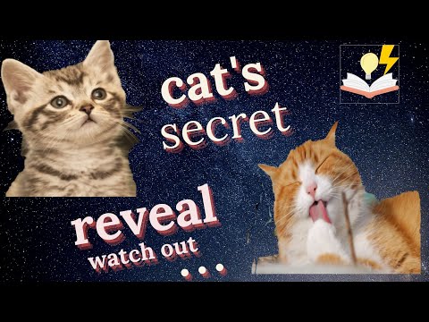 Facts about your Cats 