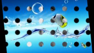 Arrolladora Banda Limon Como Pez En El Agua