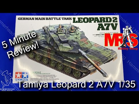 CBD for Cats Video Preview