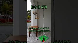 BIG C 478 - 3° ETAPA - CAMPEONATO CATARINENSE - CRIATÓRIO PRORROGAÇÃO