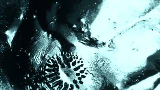 Rouge piéton - Protocole