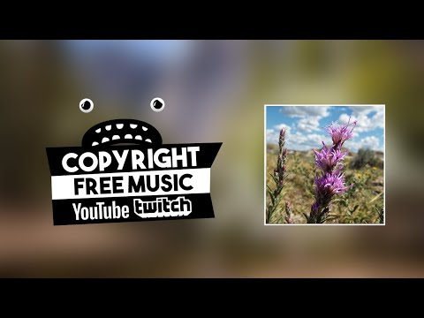 Joakim Karud - Wild Flower (Vlog Music For YouTube)