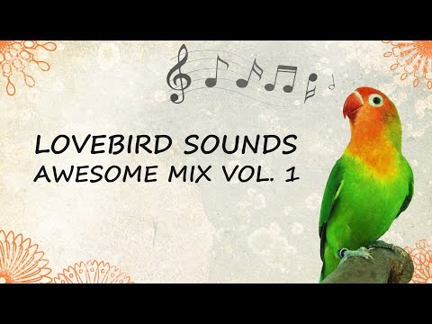 Lovebird Sounds - Awesome Mix Vol. 1