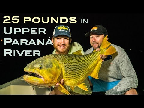 25 pound catch at Suindá Lodge - Nervous Waters