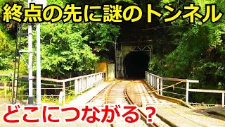 【山奥に廃線】終点の先にある謎のトンネルの先を見に行きました。