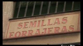 SPGTV Finding Pepe Carvalho in BArcelona