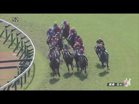 Mieli (JPN) wins race 5 at Fukushima 11/8/2020