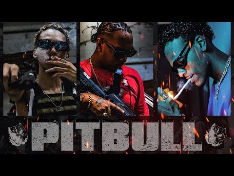 Erickão, Lil Zlatan, Faet - PITBULL (Prod. Lil Zlatan)