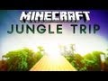 Minecraft - Jungle Trip (sprint/parkour music video ...
