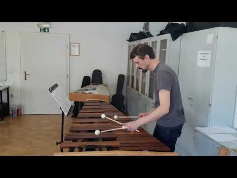 Practicing marimba #4 - Mark Ford - Manhattan