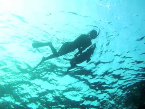 Fat Jack And Bonefish Joe cover