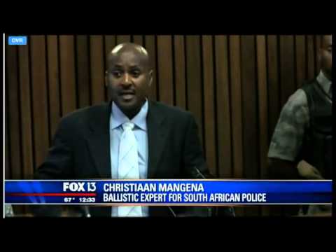 pistorius murder trial [19/03/2014]