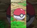 Catch Pokemon With Poke Ball