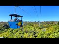 NEW 2022 Skyfari Aerial Tram Ride At San Diego Zoo