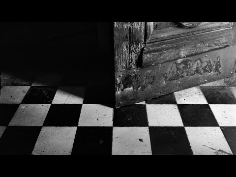 Condor: An Evening with João Pina