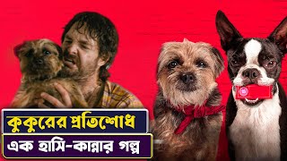 ⭕ ছোট্ট কুকুরের বড় প্রতিশোধ 🐕 | Strays Movie Explained in Bangla | Cinemon