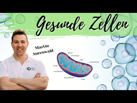 Tips for healthy cells & mitochondria. Martin Auerswald