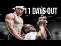 DEMON BACK WORKOUT 11 DAYS OUT w/ BIG NOAH