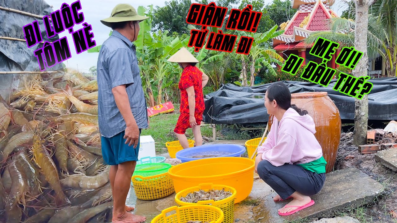Cha Mẹ Giận Nhau trong lúc làm TÔM KHÔ cho ÁNH KUA