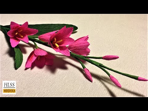 How to make African corn lily paper flower| African corn lily crepe paper flower making tutorials
