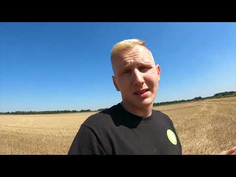 OKF- Update der Direktsaat der Zwischenfrucht & Untersaat im Mais