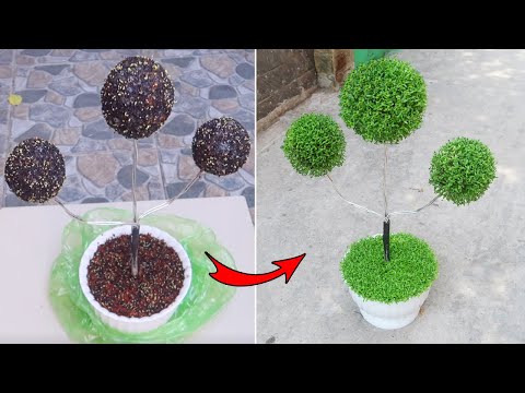 Let s grow bitter melon for your family this way it s very fruity and easy to make