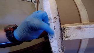 MOST EXTENSIVE BED BUG TREATMENT ON YOUTUBE! - Learn how to DIY bed bugs
