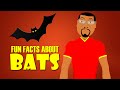 Fun Facts about Bats! Learn about Bats with this Educational Cartoon (Microchiroptera)