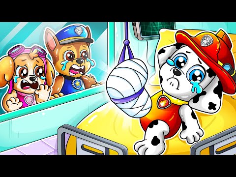What Happened To MARSHALL?! Get Well Soon My Friend!! ???? | Paw Patrol Ultimate Rescue | Rainbow 3