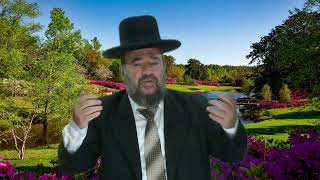 חסד או רחמים – וירא – הרב דוד הכהן הרב הראשי גן יבנה