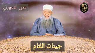 صورة جينات اللئام | در الحويني