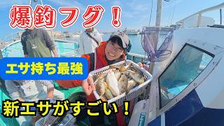 【フグ釣り】ついに爆釣！新エサも大活躍！釣れるフグ釣りは楽しすぎる！さらにハマっちゃいました（リベンジ編）