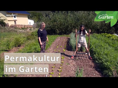 So wird in einer Permakultur-Gärtnerei gearbeitet | MDR