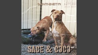 Sace & Coco Music Video