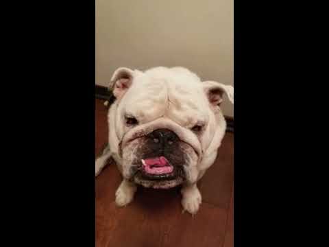 لما تعد مع صاحبك الغبي تفهمه غلطه🐮