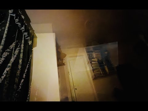 DPH/BENADRYL Trip Replication