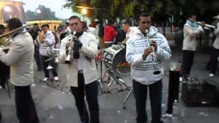 Banda Latina de Tarimoro, Guanajuato - La Alejandrina