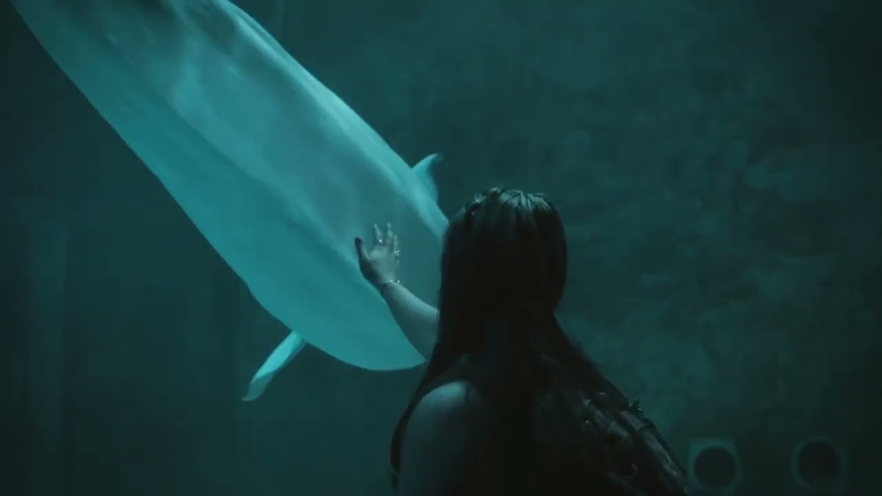 노던애리조나대학교의 추계예술대학교 홍보영상 - YouTube