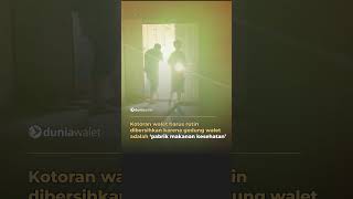 Download lagu Swallow's Nest Building 'Health Food Factory' mp3