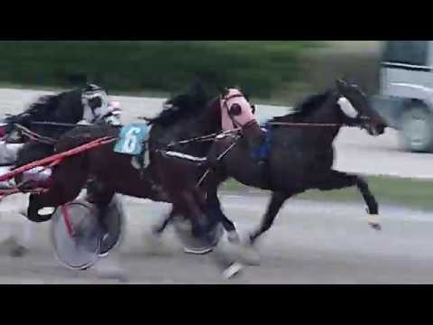 Aversa trotto 1 Febbraio 2020 - 4° Corsa