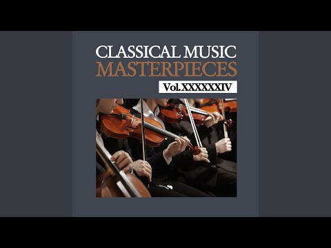 Concerto for Flute, Bassoon and Strings in G Minor, "La Notte": I. Largo