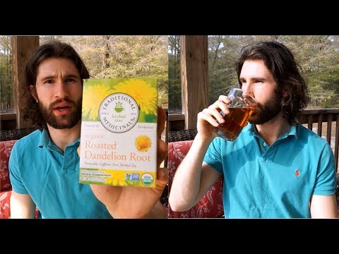 download lagu mp3 mp4 Best Dandelion Tea Brand, download lagu Best Dandelion Tea Brand gratis, unduh video klip Best Dandelion Tea Brand