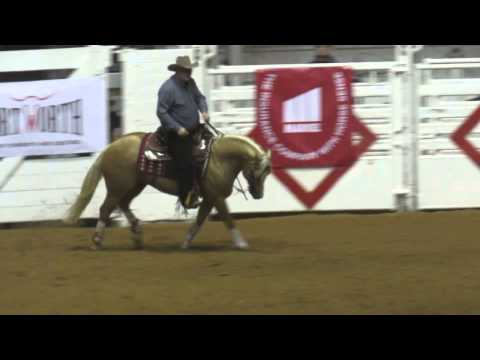 Tim McQuay Reining Run Fort Worth Cowtown Showdown 2015 - Part 3