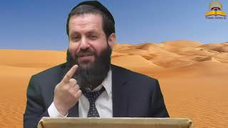 פרשת וירא תשפ"ו - תתגבר על ההתנגדות!! הרב גדליה הופנונג (קו ההלכה הספרדי) - התמונה מוצגת ישירות מתוך אתר האינטרנט יוטיוב. זכויות היוצרים בתמונה שייכות ליוצרה. קישור קרדיט למקור התוכן נמצא בתוך דף הסרטון פרשת וירא תשפ"ו - תתגבר על ההתנגדות!! הרב גדליה הופנונג (קו ההלכה הספרדי) - התמונה מוצגת ישירות מתוך אתר האינטרנט יוטיוב. זכויות היוצרים בתמונה שייכות ליוצרה. קישור קרדיט למקור התוכן נמצא בתוך דף הסרטון